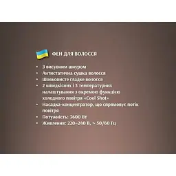 Фен для волосся Bitek BT-474 з дифузором та концентратором 3600Вт Сріблястий  - мініатюра 2
