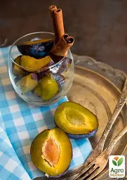 Саджанець Agro-Market Слива Стенлей (осінній сорт, пізній термін дозрівання) 1 шт. в упаковці (20941) - мініатюра 3