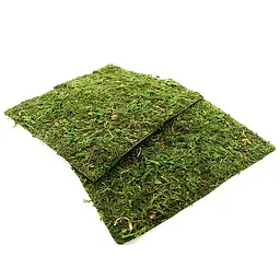 Фон з натурального моху Repti-Zoo Natural Moss Back & Bottom 20x20см 2 шт (NCM2020) для тераріуму - мініатюра 5