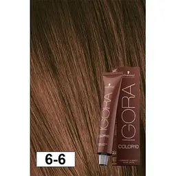 Фарба для волосся Schwarzkopf Igora Color10 New, відтінок 6-6 (темний блонд шоколадний), 60 мл (2682664) - мініатюра 2