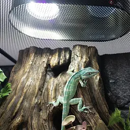 Лампа LED Repti-Zoo Desert and Tropical UVB 5.0 UVB 10.0 5W для тераріумів (LEDU04) - мініатюра 5