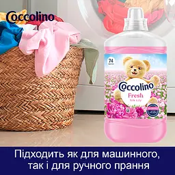 Концентрований кондиціонер для білизни Coccolino Свіжість та м'якість Шовковиста лілія з нотами троянди, бузку та сандалу 1702 мл - мініатюра 9