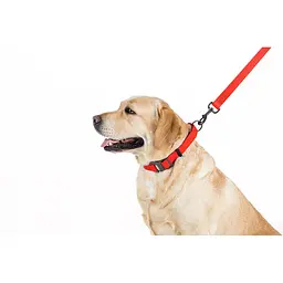 Повідець для собак водостійкий Waudog Waterproof L-XXL Ш 25 мм Д 183 см червоний - мініатюра 4