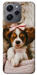 TPU чохол Demsky Sleepy spaniel для Xiaomi Redmi 12