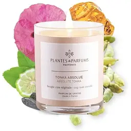 Ароматична свічка Plantes & Parfums Tonka Absolue 180 г - мініатюра 2