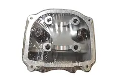 GY-6 150CC4T Головка циліндра в зборі (70208)