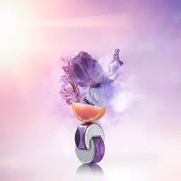 Тестер Omnia Amethyste туалетна вода 65 ml - мініатюра 3