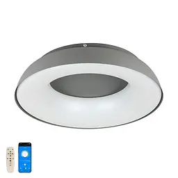 Люстра LED Levistella 797MX6018 (580) DGY, 80W, сірий, з пультом та додатком, сучасний стиль