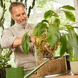Субстрат Compo Bio Granuplant для кімнатних рослин 6 л (8818) - мініатюра 5