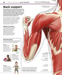 Knowledge Encyclopedia Human Body! - мініатюра 2