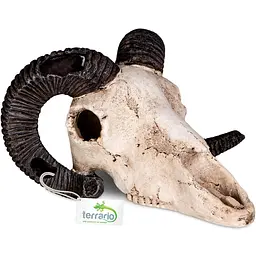 Декорація череп барана Terrario Ram Skull 19x16x11см (191712) - мініатюра 1
