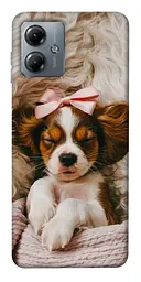 TPU чохол Demsky Sleepy spaniel для Motorola Moto G14