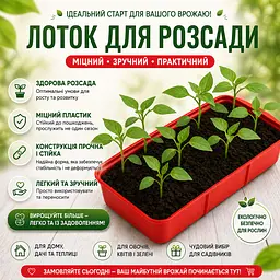 Комплект 2 шт лотків для розсади 2.2 л 38×16×6.5 см кольорові піддони для рослин та зелені Червоний 88422 - мініатюра 2