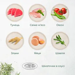 Вологий корм для котів Morando Tradizioni шматочки у соусі з тунцем, томатами та стручковою квасолею 405 г - мініатюра 3