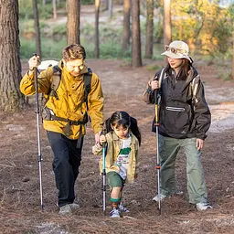 Трекінгова палиця телескопічна Naturehike Men ST 01 (NH17D001-Z) золотиста - мініатюра 8