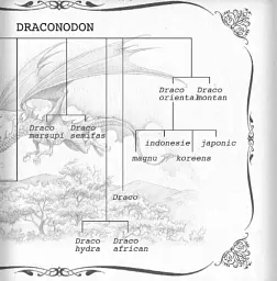 The Ultimate Illustrated Compendium: The Complete Guide to Dragons - - мініатюра 8