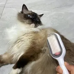 Щітка для тварин Pet Gravity Pet Grooming Comb 4в1 для сухого та вологого вичісування собак та котів рожевий - мініатюра 6