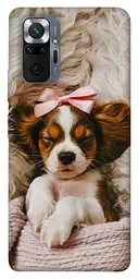 TPU чохол Demsky Sleepy spaniel для Xiaomi Redmi Note 10 Pro