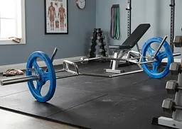 Треп-гриф олімпійський York Fitness для станової тяги 213см (50мм) з підставкою - мініатюра 16