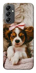 TPU чохол Demsky Sleepy spaniel для Samsung Galaxy A14 4G/5G
