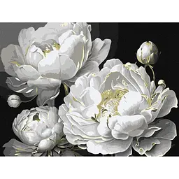 Картина за номерами "Бездоганна краса" art_selena_ua KHO3298, 30х40 см