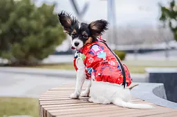 Жилет Smart Pet Пінгвін - мініатюра 4