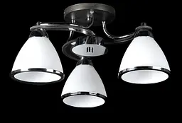 Люстра стельова на три плафона Splendid-Ray 30-3122-36
