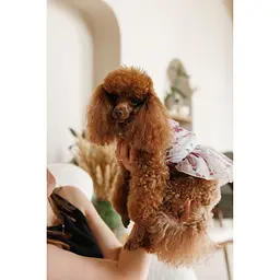 Сукня Pet Fashion Amelia для собак S - мініатюра 7