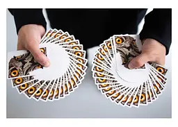 Карти гральні United States Playing Card Company Riffle Shuffle The Watcher (PC_RSWATC) - мініатюра 3