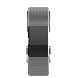 Силіконовий ремінець для фітнес браслета Fitbit Charge 2 Grey L - мініатюра 2