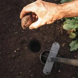 Сівалка Fiskars Ergo (1057078) - мініатюра 7
