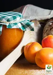 Саджанець Agro-Market Абрикос колоновидний яскраво помаранчевий з легким рум'янцем Сонячне літо (Sunny summer) (преміальний середньостиглий сорт) 1 шт. в упаковці (45791) - мініатюра 3