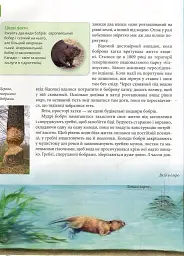 Енциклопедія для допитливих А5 : Тварини - винахідники і будівельники (Українська, 01 КРЕЙДОВАНИЙ ) - Андрій Гапченко - мініатюра 9