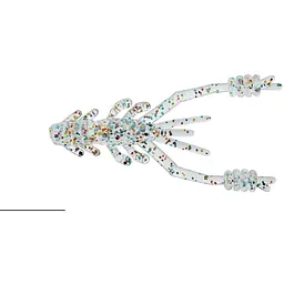 Силікон Reins Ring Shrimp 2 12 шт/уп. Білий (1013-1552.08.22)