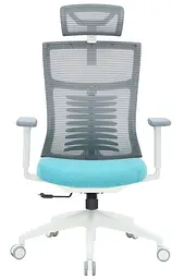 Офісне крісло OfficePro Balance OC550-W-DG-BL (OC550-W-DG-BL) - мініатюра 2
