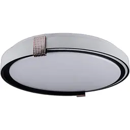 Cвітильник COLISEUM матовий 60W 395*60мм 3000К-6500К з ДК білий з чорним