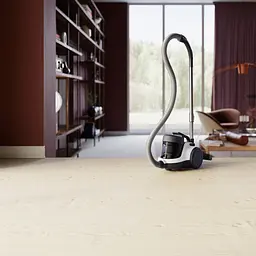 Пилосос Electrolux ECC21-2IW (900258343) - мініатюра 6
