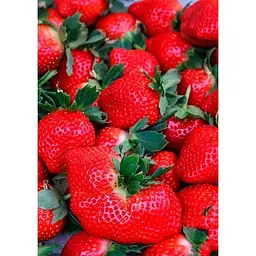 Саджанець Agro-Market Полуниця Хумі Гранде (Humi Grande) 5шт (середній термін дозрівання) (44695) - мініатюра 3