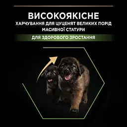 Сухий корм для цуценят великих порід Purina Pro Plan Large Robust Puppy, з куркою, 12 кг (12375805) - мініатюра 5