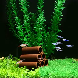 Декорація трубчасті схованки Hobby Prawn Pyramid 3-2-1 4x4,5x5 см (41524) - мініатюра 4