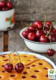 Саджанець Agro-Market Вишня Малятко (літній сорт, ранній термін дозрівання) 1 шт. в упаковці (35795) - мініатюра 3