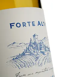 Вино Forte Alto Pinot Grigio біле сухе 0.75 л - мініатюра 3