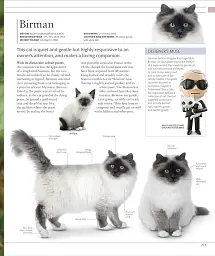 The Cat Encyclopedia - мініатюра 13