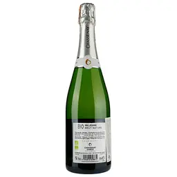 Шампанське Champagne Chassenay d'Arce SCA Champagne Bio Brut Nature 2013, біле, брют натюр, 0,75 л - мініатюра 2