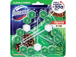 Блок для туалетів DOMESTOS Туалетний Power5 Свіжість Хвої 3штх55г