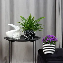 Ваза-кашпо МВМ My Home, 14,5 см, чорна з білим (DH-FLOWERS-27 WHITE/BLACK) - мініатюра 3