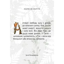 Метафорично-асоціативні картки "Земля тотемів" Колесо Життя 180689, 71 картка - мініатюра 5