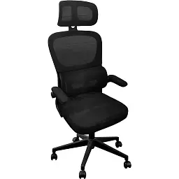 Офісне крісло GT Racer B-4118 Black (B-4118 Black)