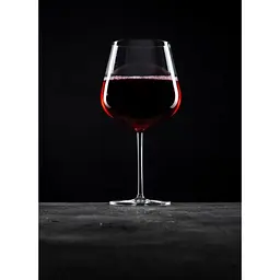 Келих для червоного вина Schott Zwiesel Burgundy 955 мл (121409) - мініатюра 3