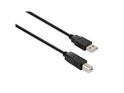 Кабель Vinga USB 2.0 AM/BM Black 5m (VCPUSBAMBM5BK)